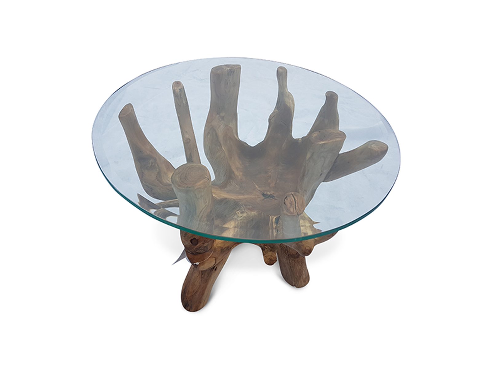root-coffee-table.jpg